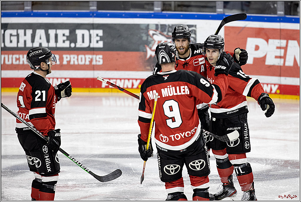 PENNY DEL;  Koelner Haie - Nuernberg Ice Tigers; Koeln, 03.12.2021